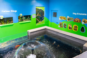 Petsplay Interior Room1