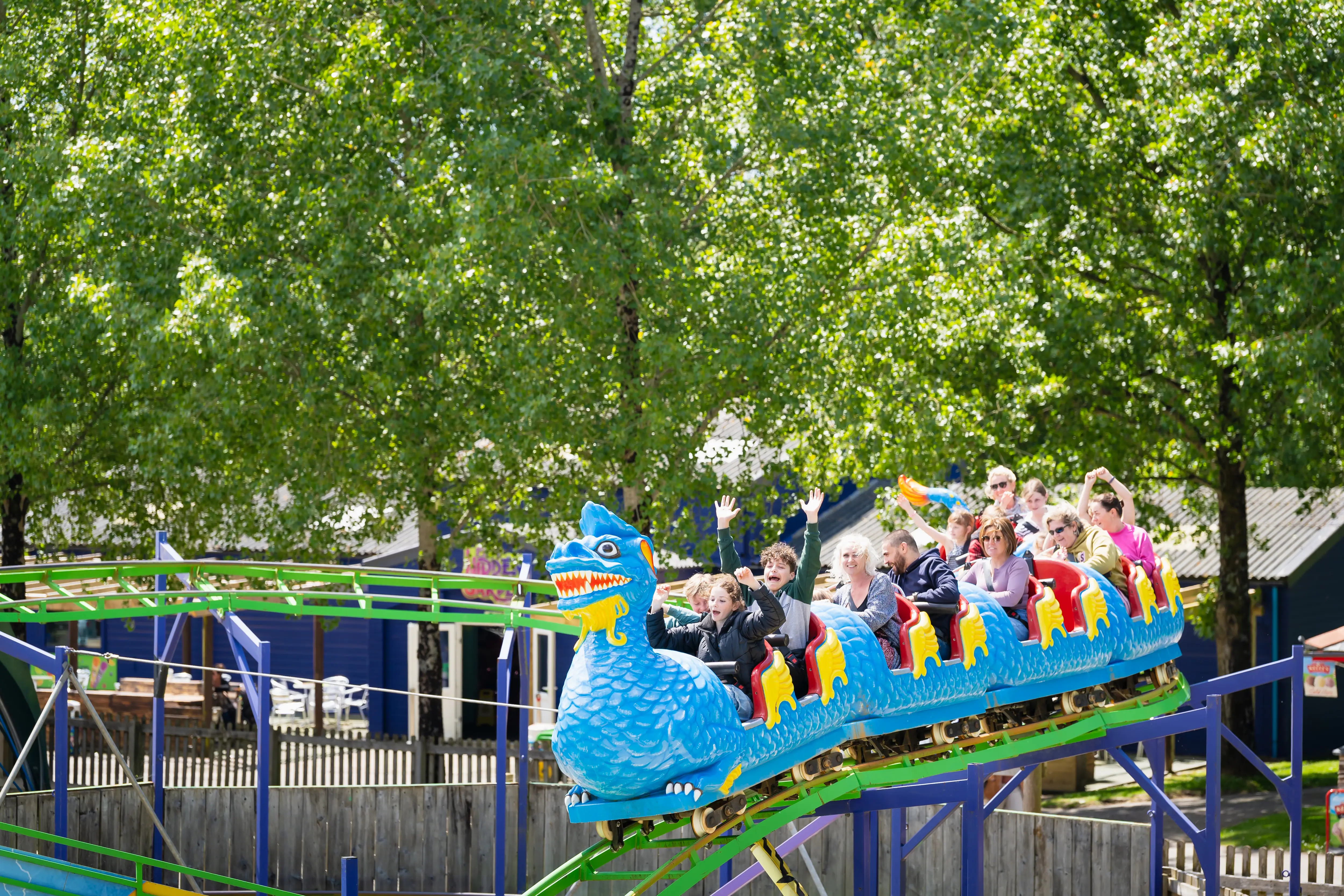 The Dragon Roller Coaster