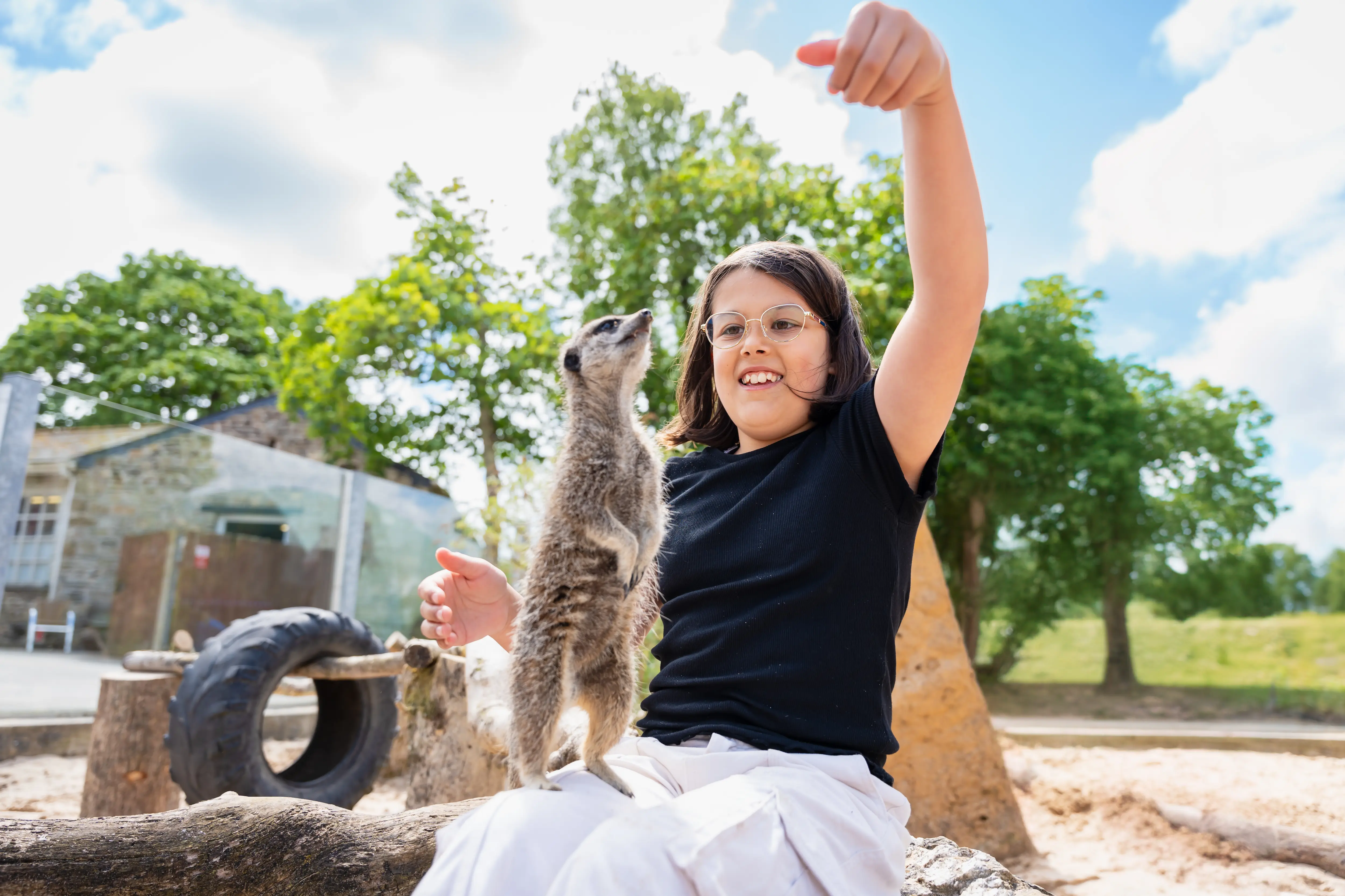 Girl feeding a meerkat 