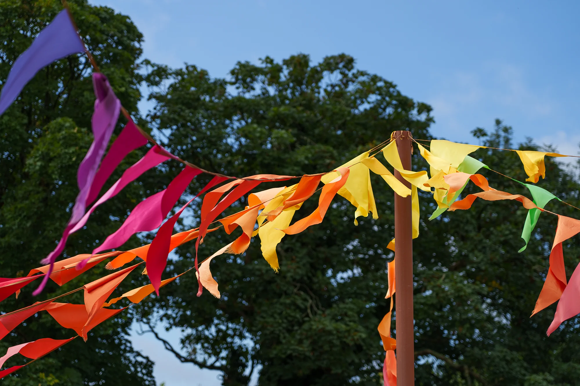 Camel Creek Summer Festival