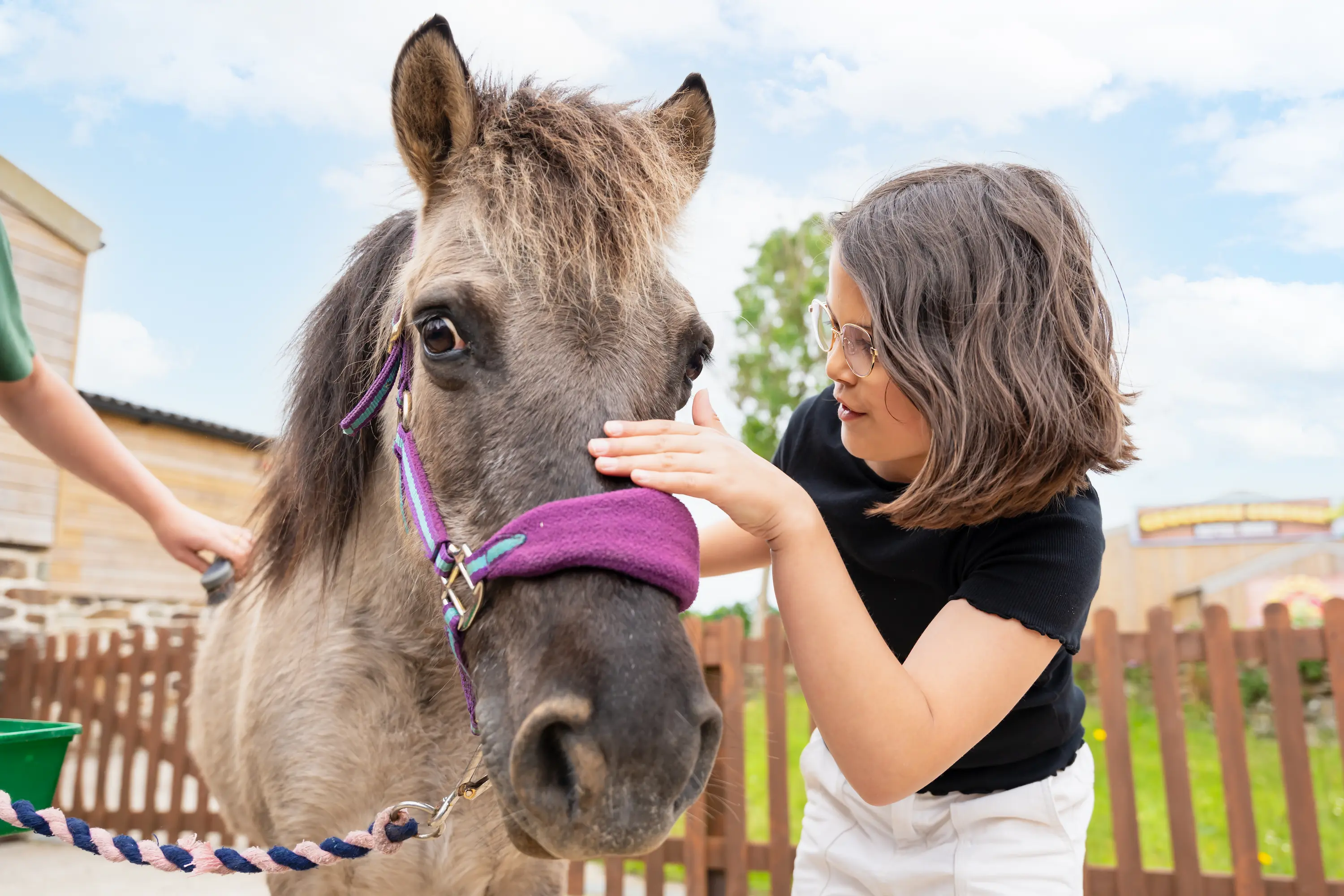 A girl stroking a pony