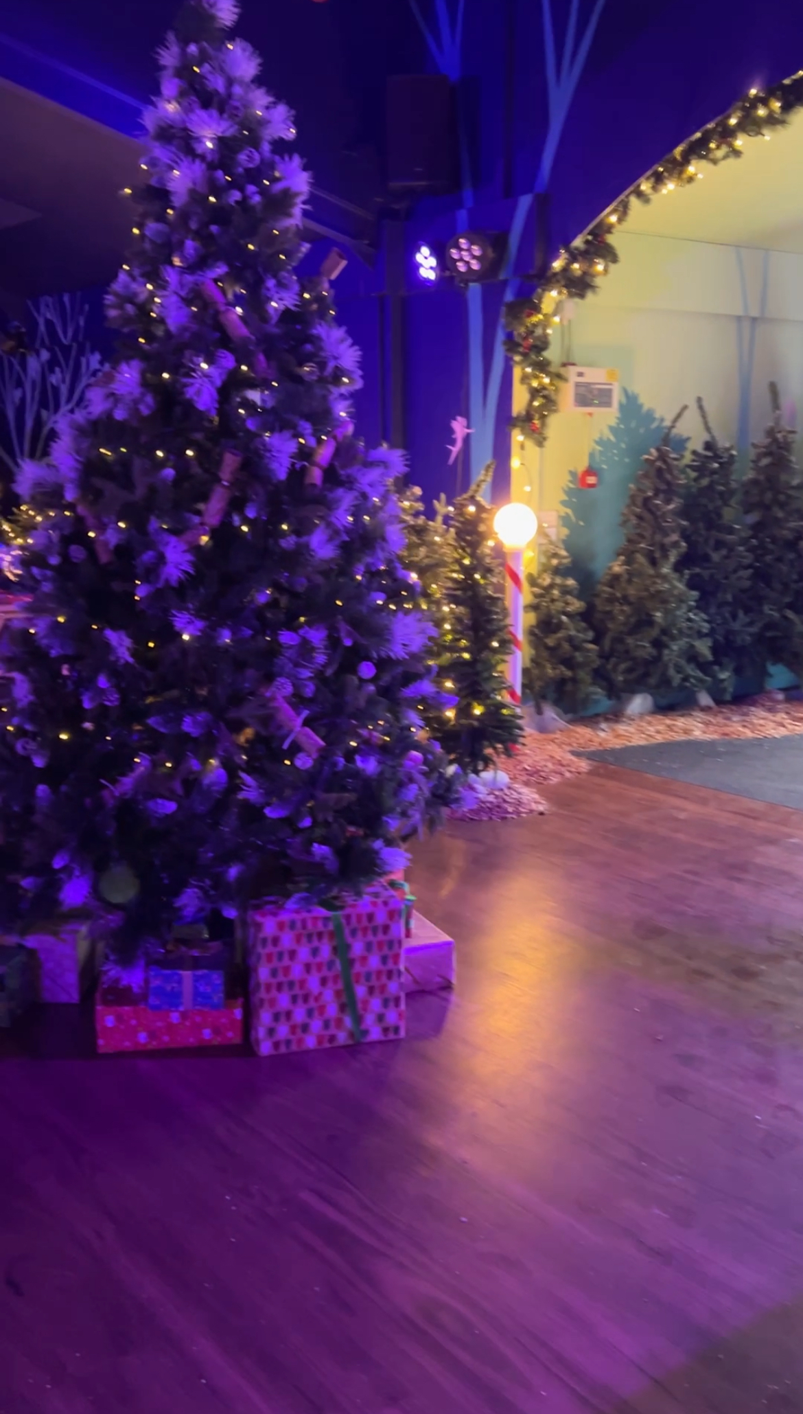 Christmas Tree Camelcreek