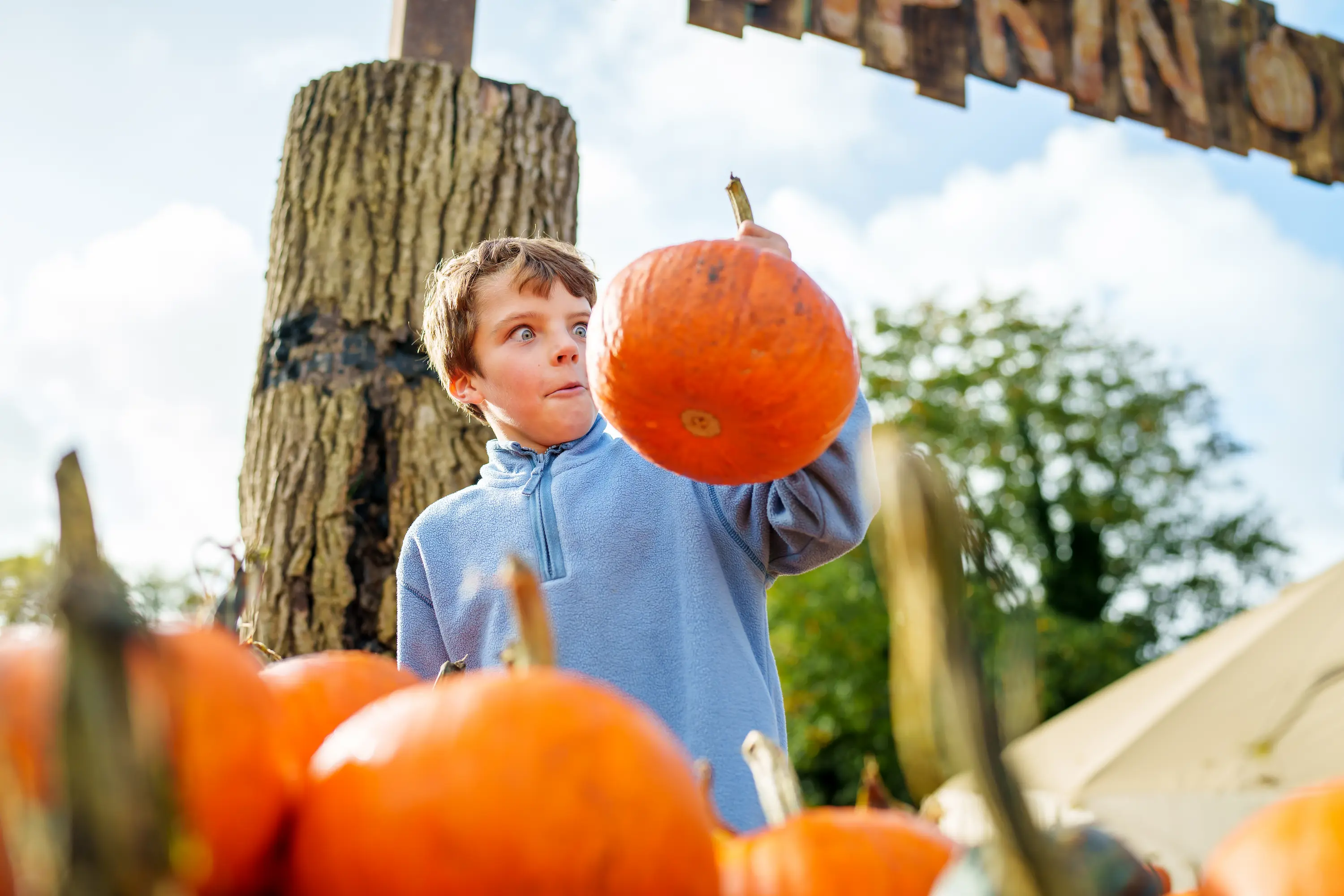 A boy looking shocked at the size of a pumpkin