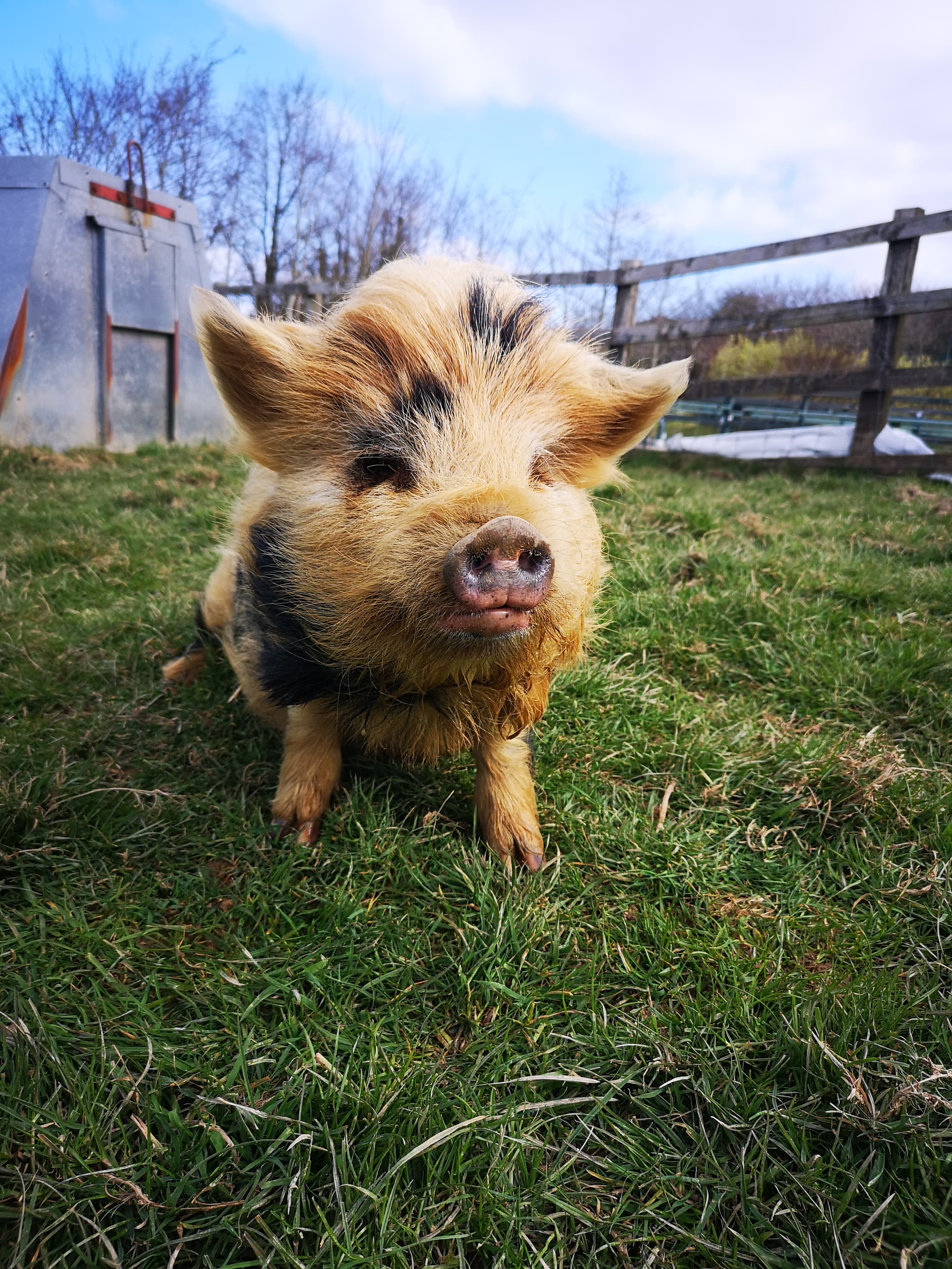 Fizz Posing
